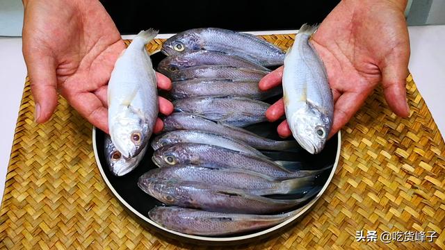 小黄鱼与黄花鱼图片对比 小黄鱼跟黄花鱼的区别