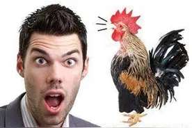 猜成语：一只老虎长了翅膀，你知道这是什么成语吗？图片