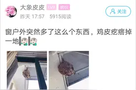 萧山一姑娘家窗户外突然多了这么个东西，鸡皮疙瘩掉一地……图片