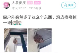 萧山一姑娘家窗户外突然多了这么个东西，鸡皮疙瘩掉一地……图片