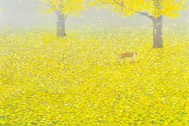 用四种方式写微头条，你最擅长哪一种？图片