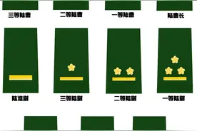 各国军警衔图集（更新中）图片