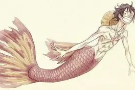 海贼王：人鱼版草帽海贼团众人，娜美罗宾身材超棒，布鲁克惊悚图片