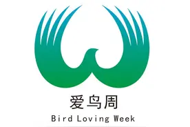 “爱鸟周”LOGO揭晓！我国鸟类种数占世界六分之一图片