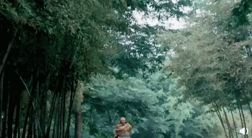 国产剧奇葩特效盘点！赵丽颖边变色边旋转，白敬亭都亲自下场吐槽