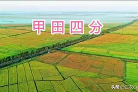 21年是“二龙治水，甲田四分，七人锄地，草子十分”，啥意思？图片