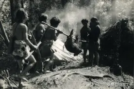 1950年，解放军一支队伍，在云南哀牢山深山：发现一支原始人部落图片