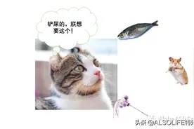 你说“看这里！”孩子真的知道要看什么吗？图片