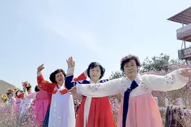 又到一年赏花季！龙井犇福牧场金达莱花已开 抓紧时间观赏图片