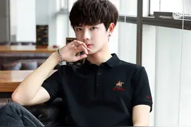 男士短袖POLO衫图片