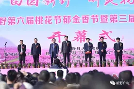 新野县第六届桃花节郁金香节暨第三届纺织服装博览会开幕图片