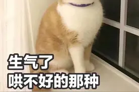 女童商场走失求助保安，当广播喊出爸爸名字时，大家都笑岔了气图片