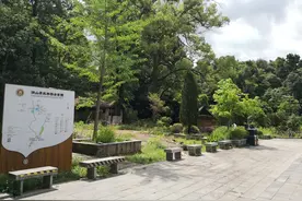 这些独特的方言词，在您的家乡怎么说？（四）图片