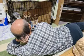 自从爸妈开始养宠物后，我活得连狗都不如图片