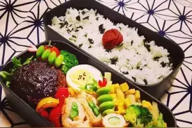 日本学生晒“海鲜便当”，嘲笑中国学生吃不起，网友一张图赢了图片