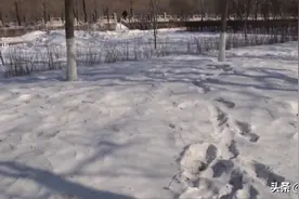 刚停好车就遭遇劫持，机智女子“虎口脱险”！图片