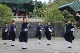 传武“开中门”的重要意义、加之实战五要素：其实传武无须正名图片