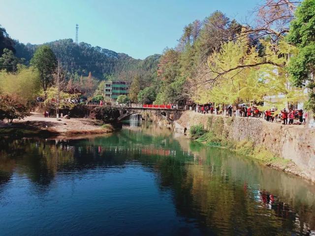 秋风吻尽银杏叶，艳遇醉美帽子峰