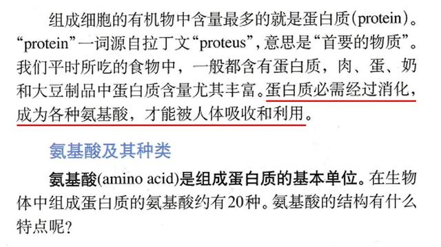 突破氨基酸结构难点，轻松掌握《生命活动的承担者——蛋白质》