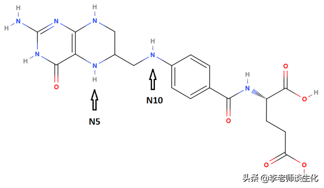 氨基酸衍生物代谢（一）