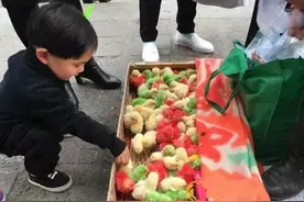 被染色残害的动物图片