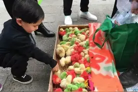 被染色残害的动物图片