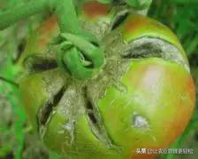鐣寗缂洪挋鍙戠敓鑴愯厫鐥咃紝缂洪晛鑰佸彾鍙橀粍鍖栵紝闃茶寖鎻愬墠锛岄伩鍏嶅嵄瀹炽€? onerror=
