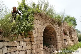 7旬农村大妈老房上长出1棵树，野生果要价百元1斤，是啥稀罕物图片