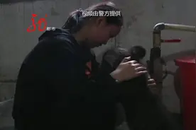 他上山挖野菜两次偶遇“笨狗熊”，还把它带回了家！现在，那只熊有了“洋”名字，还安了新家图片