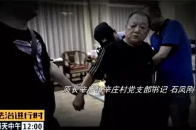 庭院如同宫殿，鼓动村民围堵镇政府……北京村支书“黑老大”被判无期！图片