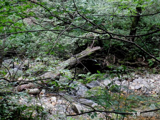 重走抗联路——本溪关门山森林公园鸣翠谷景区抗联秘营