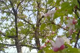 典型鲁西南农村现状！巨野县乡村实拍！图片