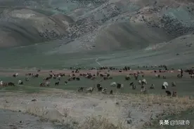青青的草原，亲亲的你！图片