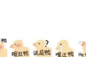 表情包｜好喜欢你鸭图片