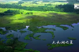 生物多样性丨神农架山水秘境穿越四季而来 每一帧都惊艳图片