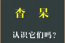 国学文化：汉字“杳”和“杲”你认识吗？学识字，涨知识图片
