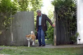 忠犬八公，主人离世后，不知情狗狗在火车站足足等了10年图片