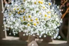 旅拍攻略之选花篇，教你轻松选花束，让婚纱照也可以灵动脱俗图片