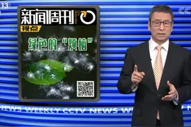 央视聚焦！白岩松：今年沙尘暴袭来，让人花粉过敏的树，到底能不能换掉？图片