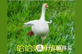 穷折腾！不到200元改造洗浴零冷水，别说真不错！媳妇直夸图片