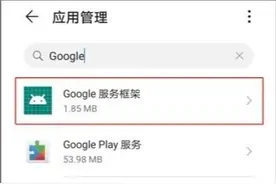 Google谷歌Play商店及框架问题图片