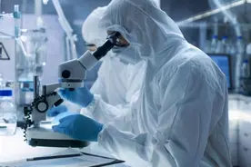 “公鼠怀孕”论文停止撤稿，作者自称没错，中国人大教授公开反对图片