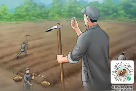 穿越1941 一起开荒南泥湾图片