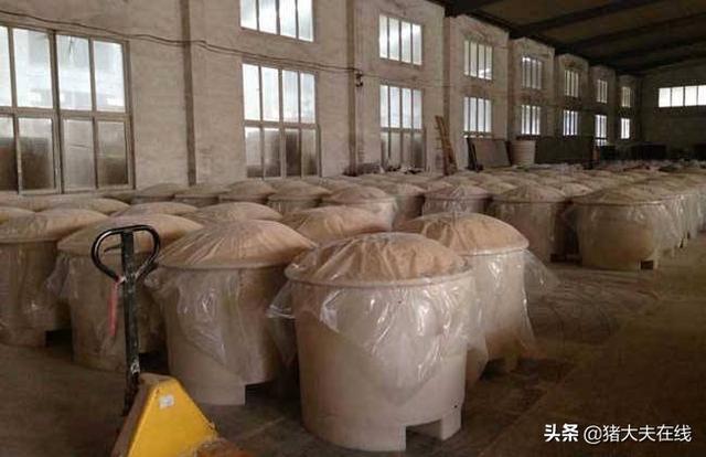 都说发酵饲料养猪好，好在哪？关于发酵饲料这些问题，你需要了解