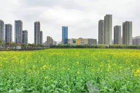 差地段里的神户型，杭语清澄能否打动你？图片