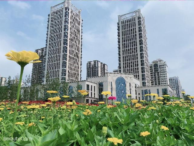 公开招聘！蟠龙新区开发建设有限公司及所属公司招人啦！