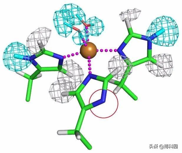 太好了，利用中子晶体学：揭示了氧化酶蛋白的高分辨率结构细节