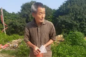 电白有个"怪老头"，独居深山破屋，流浪了30多年，他为什么要这样图片