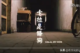 卡拉只是一条狗，但狗的主人老二呢？也形同一条狗—这才是片名图片