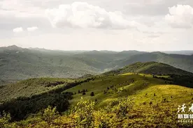 10个古风句子，美极了，赶快收藏起来图片